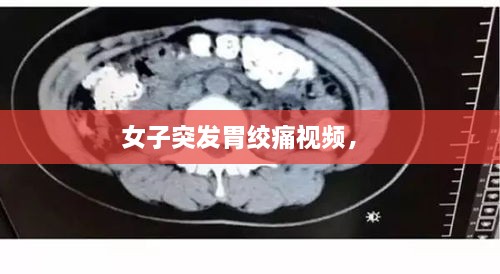 工程案例 第66頁