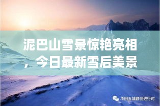 泥巴山雪景驚艷亮相，今日最新雪后美景報道！