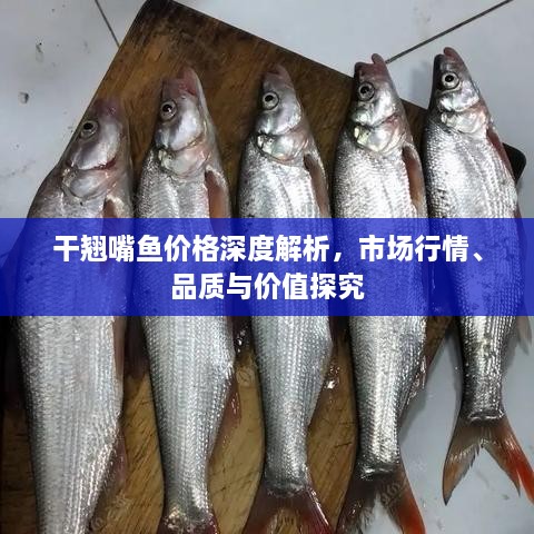 干翹嘴魚價格深度解析，市場行情、品質(zhì)與價值探究