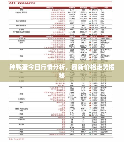 種鴨蛋今日行情分析，最新價格走勢揭秘