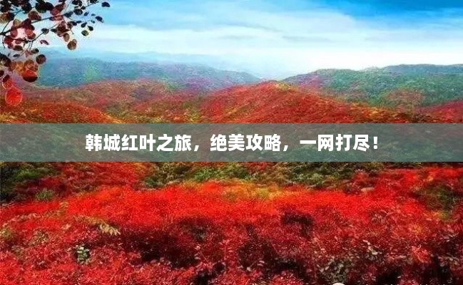 韓城紅葉之旅，絕美攻略，一網(wǎng)打盡！