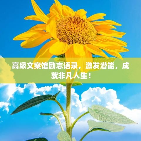 高級文案館勵志語錄，激發(fā)潛能，成就非凡人生！