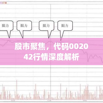 股市聚焦，代碼002042行情深度解析