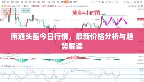 南通頭盔今日行情，最新價(jià)格分析與趨勢(shì)解讀