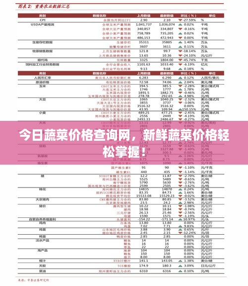 今日蔬菜價(jià)格查詢網(wǎng)，新鮮蔬菜價(jià)格輕松掌握！