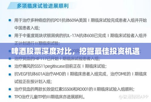 啤酒股票深度對(duì)比，挖掘最佳投資機(jī)遇