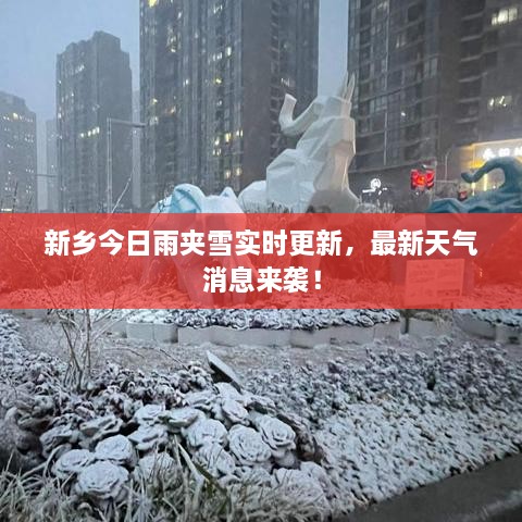 新鄉(xiāng)今日雨夾雪實時更新，最新天氣消息來襲！