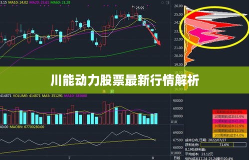 2025年2月 第147頁