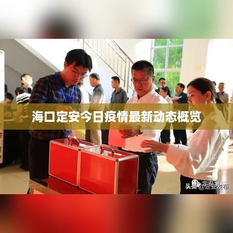 ?？诙ò步袢找咔樽钚聞討B(tài)概覽