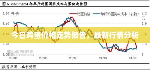 今日雞蛋價格走勢報告，最新行情分析