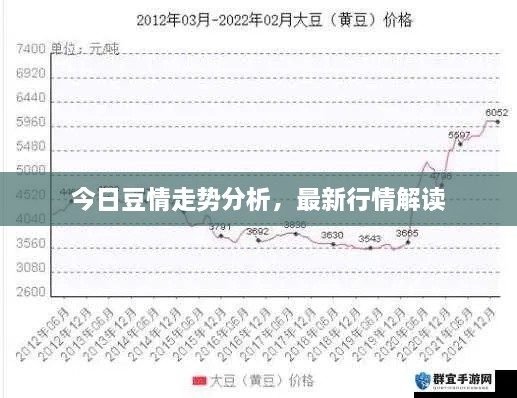 今日豆情走勢(shì)分析，最新行情解讀