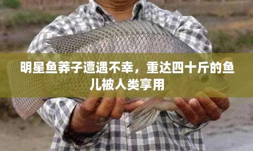 明星魚(yú)莽子遭遇不幸，重達(dá)四十斤的魚(yú)兒被人類享用