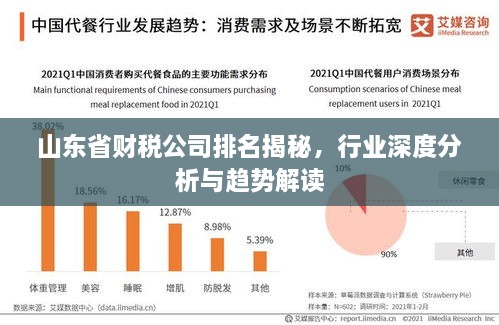 山東省財稅公司排名揭秘，行業(yè)深度分析與趨勢解讀