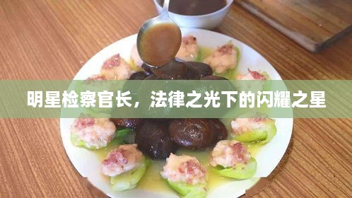 明星檢察官長，法律之光下的閃耀之星