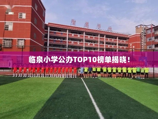 臨泉小學(xué)公辦TOP10榜單揭曉！