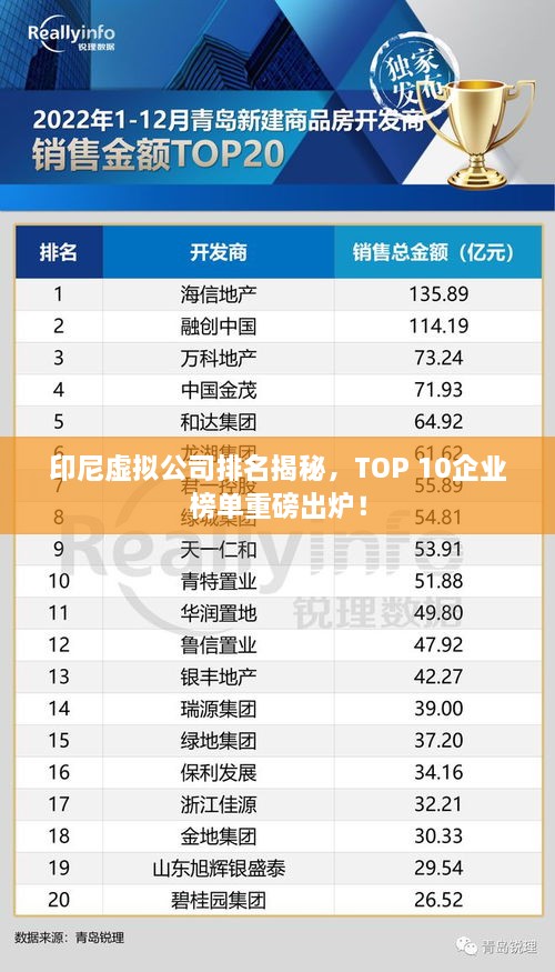 印尼虛擬公司排名揭秘，TOP 10企業(yè)榜單重磅出爐！