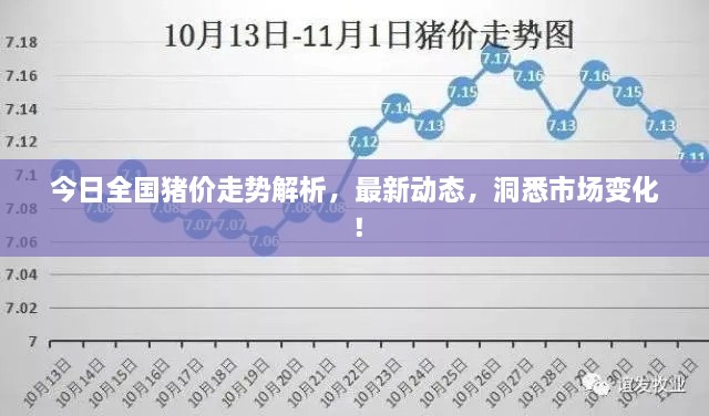 今日全國豬價走勢解析，最新動態(tài)，洞悉市場變化！