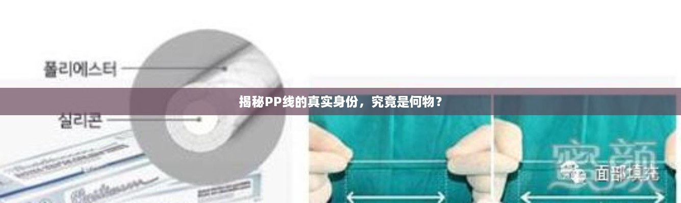 揭秘PP線的真實(shí)身份，究竟是何物？