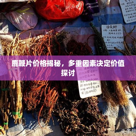 鹿鞭片價格揭秘，多重因素決定價值探討