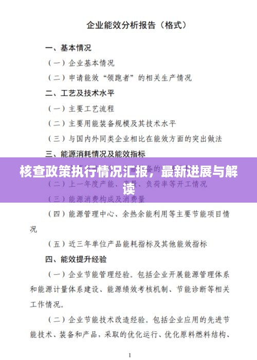 核查政策執(zhí)行情況匯報，最新進展與解讀