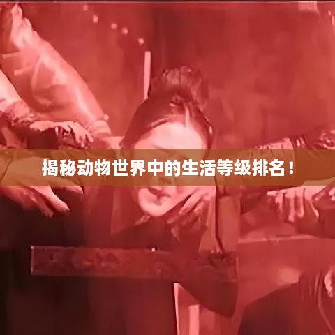 揭秘動(dòng)物世界中的生活等級(jí)排名！