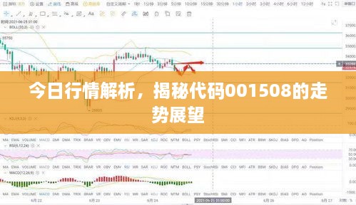 今日行情解析，揭秘代碼001508的走勢展望