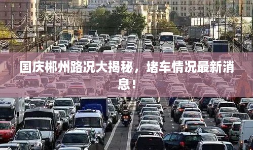 國慶郴州路況大揭秘，堵車情況最新消息！