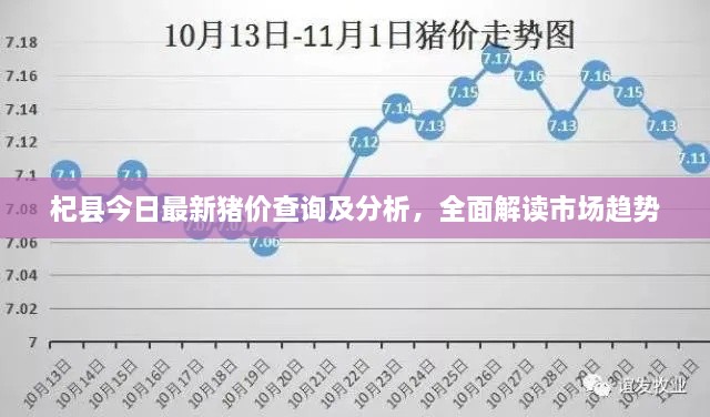 杞縣今日最新豬價(jià)查詢及分析，全面解讀市場趨勢