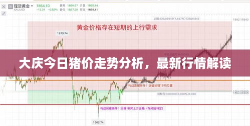 大慶今日豬價(jià)走勢(shì)分析，最新行情解讀