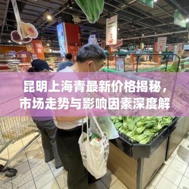 昆明上海青最新價格揭秘，市場走勢與影響因素深度解析