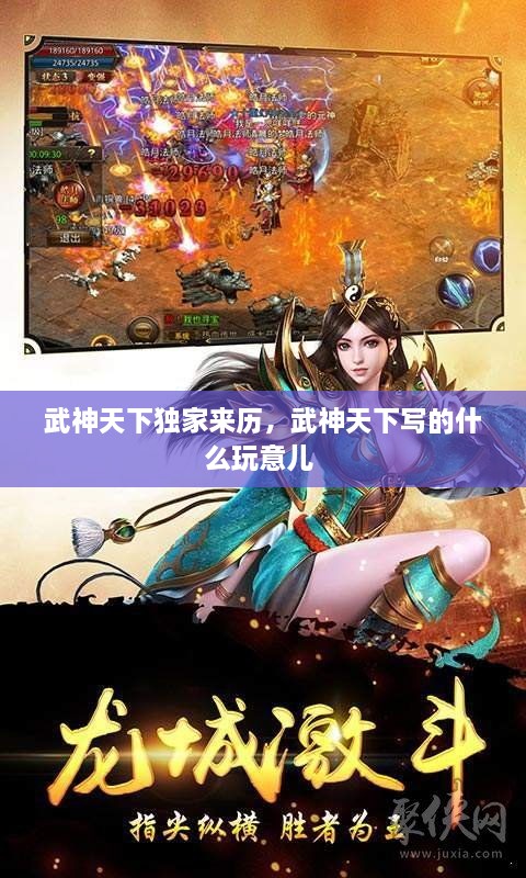 武神天下獨家來歷，武神天下寫的什么玩意兒 