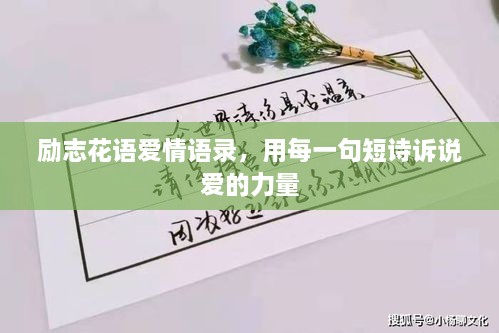 勵(lì)志花語(yǔ)愛情語(yǔ)錄，用每一句短詩(shī)訴說(shuō)愛的力量