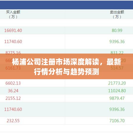 楊浦公司注冊市場深度解讀，最新行情分析與趨勢預(yù)測