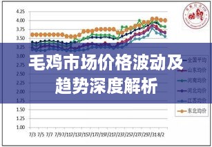 解決方案 第5頁