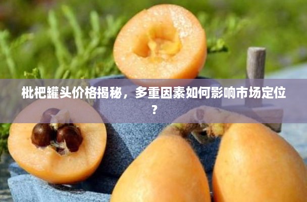 枇杷罐頭價(jià)格揭秘，多重因素如何影響市場(chǎng)定位？