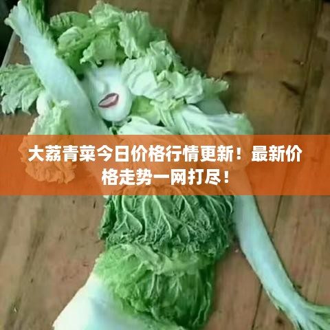 大荔青菜今日價格行情更新！最新價格走勢一網(wǎng)打盡！