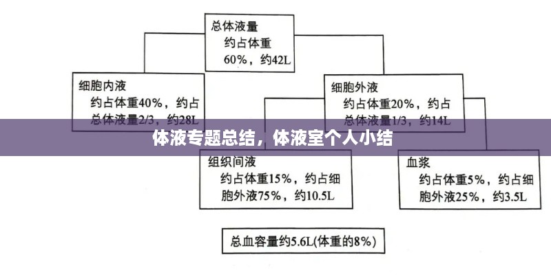 體液專題總結，體液室個人小結 