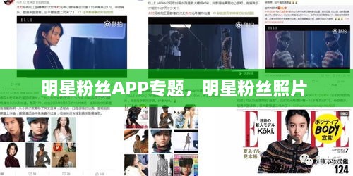 明星粉絲APP專題，明星粉絲照片 
