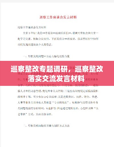 巡察整改專題調研，巡察整改落實交流發(fā)言材料 