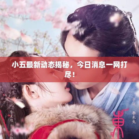 小五最新動態(tài)揭秘，今日消息一網(wǎng)打盡！
