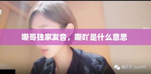 嘶哥獨家發(fā)音，嘶吖是什么意思 