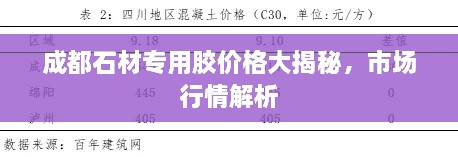 成都石材專用膠價格大揭秘，市場行情解析