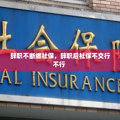 辭職不斷繳社保，辭職后社保不交行不行 