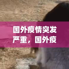 國外疫情突發(fā)嚴(yán)重，國外疫情形勢(shì)嚴(yán)峻 
