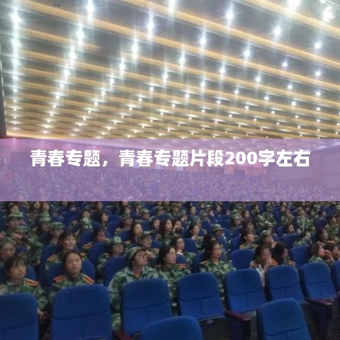 青春專題，青春專題片段200字左右 