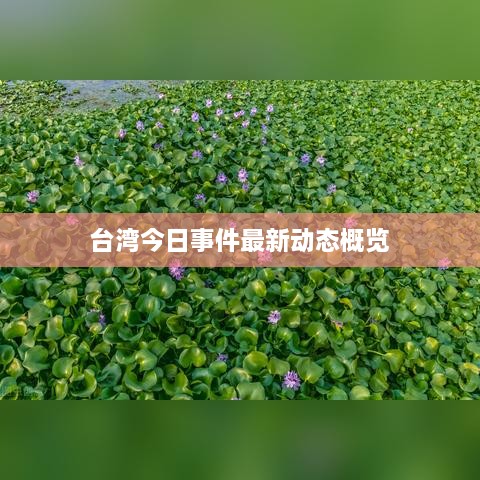 臺灣今日事件最新動(dòng)態(tài)概覽