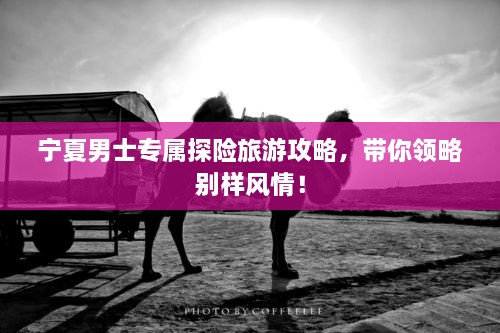 寧夏男士專屬探險(xiǎn)旅游攻略，帶你領(lǐng)略別樣風(fēng)情！