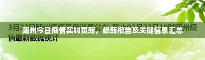 隨州今日疫情實(shí)時(shí)更新，最新報(bào)告及關(guān)鍵信息匯總