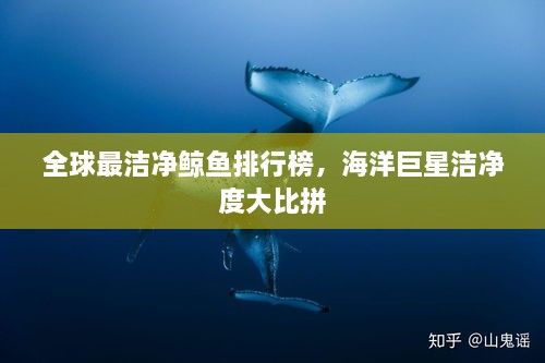 全球最潔凈鯨魚(yú)排行榜，海洋巨星潔凈度大比拼