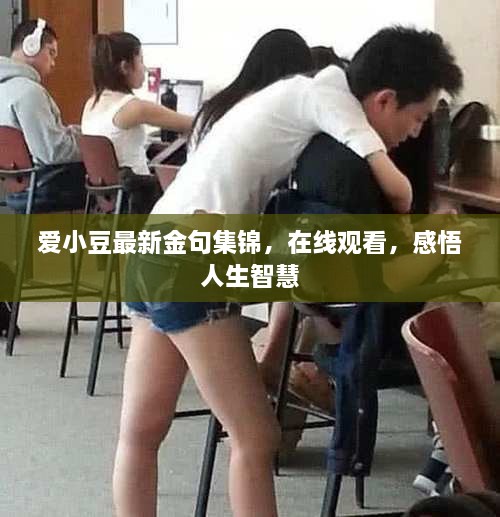 愛(ài)小豆最新金句集錦，在線觀看，感悟人生智慧